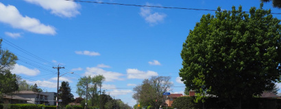 P5174452.JPG